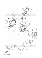 WATERPUMP / HOSES for Yamaha RAPTOR 2001
