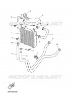 RADIATOR / HOSES for Yamaha NITRO 2002