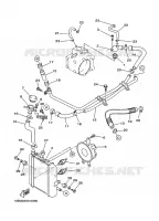 RADIATOR / HOSES for Yamaha MAJESTY ABS 2001