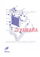 RADIATOR / HOSES for Yamaha NITRO 2006