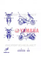 STICKER for Yamaha NITRO 2008