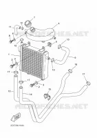 RADIATOR / HOSES for Yamaha AEROX 2009