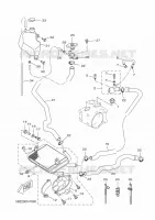 RADIATOR / HOSES for Yamaha XCITY 2009