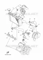 RADIATOR / HOSES for Yamaha CRYPTON 2009