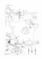 RADIATOR / HOSES for Yamaha XCITY 2010