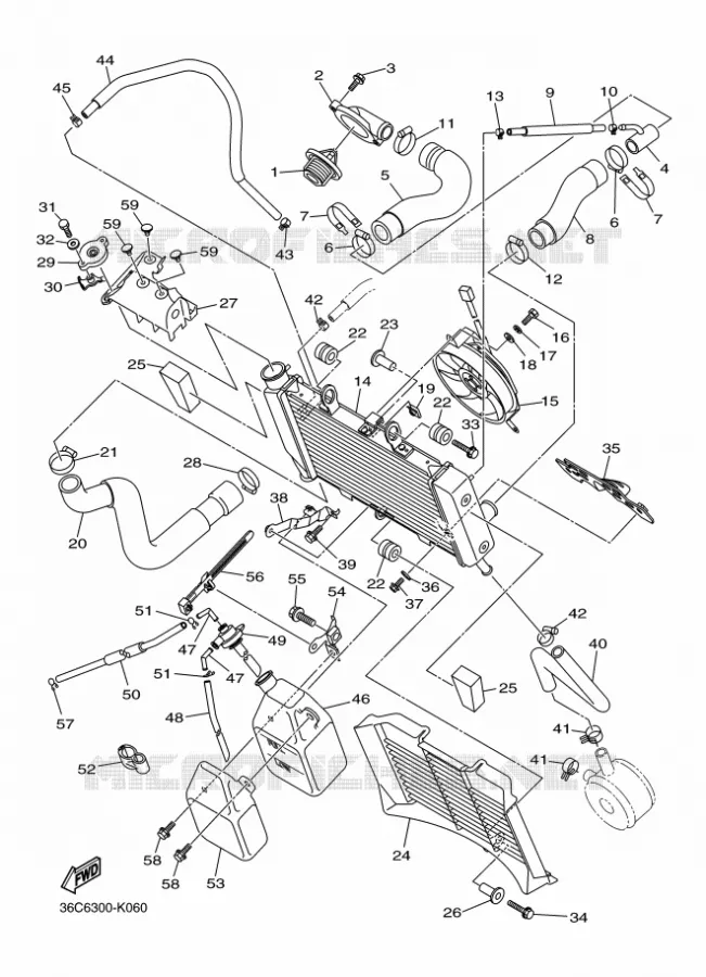 RADIATOR / HOSES Yamaha MOTO 600 2011 XJ6  XJ6S