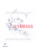 STARTER MOTOR for Yamaha SKYCRUISER 2012