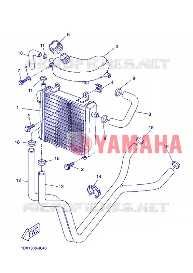 RADIATOR / HOSES Yamaha SCOOTER 50 2012 NITRO  YQ50 NITRO