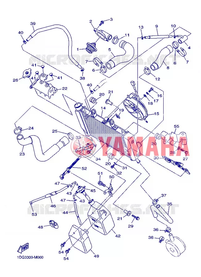 RADIATOR / HOSES Yamaha MOTO 600 2013 XJ6  XJ6FA