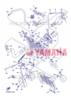 RADIATOR / HOSES for Yamaha XJ6 2013