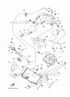 RADIATOR / HOSES for Yamaha TMAX ABS 2014