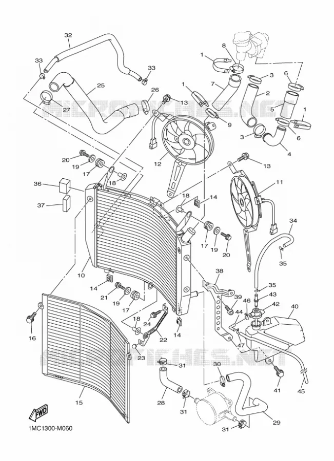RADIATOR / HOSES Yamaha MOTO 1300 2015 FJR  FJR1300AE