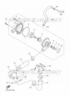 WATERPUMP / HOSES for Yamaha XJ6 2015