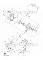 WATERPUMP / HOSES for Yamaha XJ6 2015