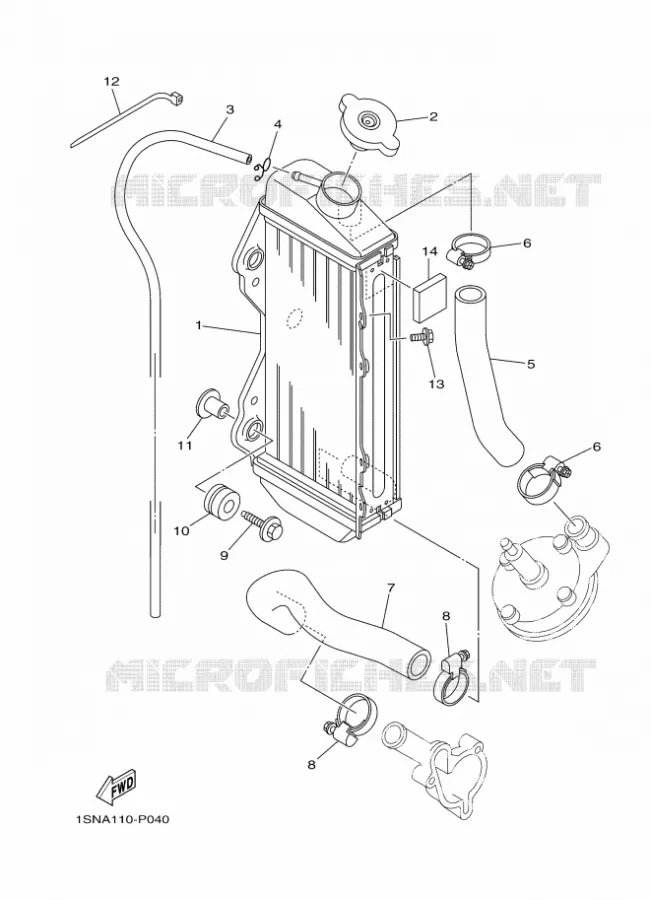 RADIATOR / HOSES Yamaha MOTO 85 2016 YZ  YZ85LW