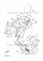 WINDSCREEN for Yamaha EVOLIS 2015
