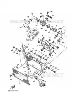 RADIATOR / HOSES for Yamaha TDM 2010