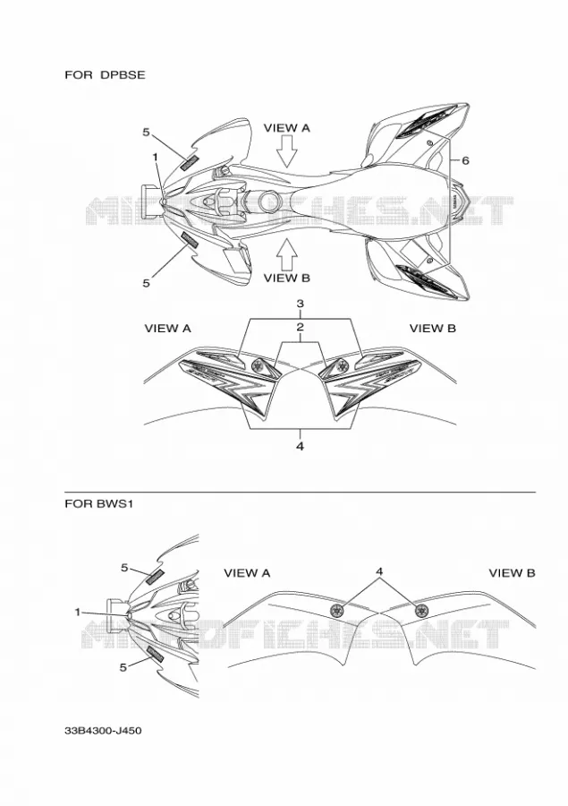 STICKER Yamaha QUAD 250 2010 RAPTOR  YFM250R