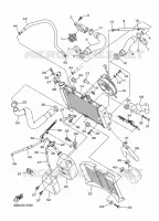 RADIATOR / HOSES for Yamaha XJ6 2016
