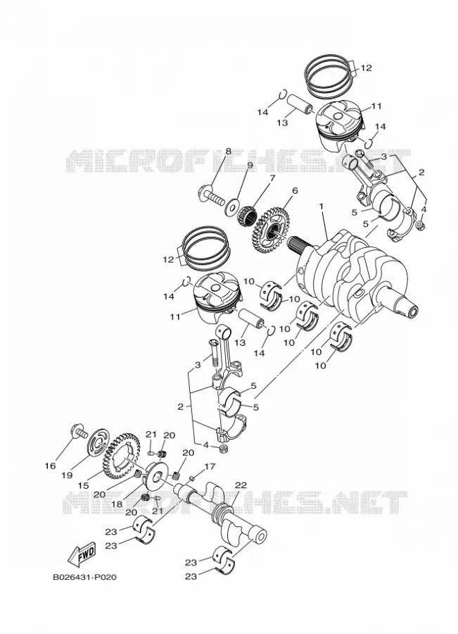 CRANKSHAFT / PISTON Yamaha MOTO 300 2016 R3  YZF-R3A