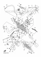 RADIATOR / HOSES for Yamaha XJ6 2016