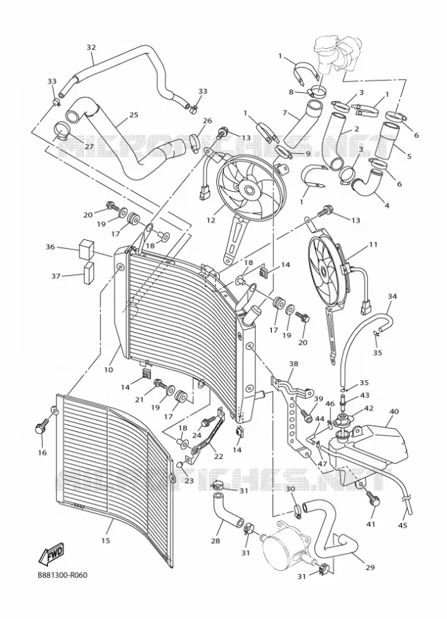 RADIATOR / HOSES Yamaha MOTO 1300 2016 FJR  FJR1300-A