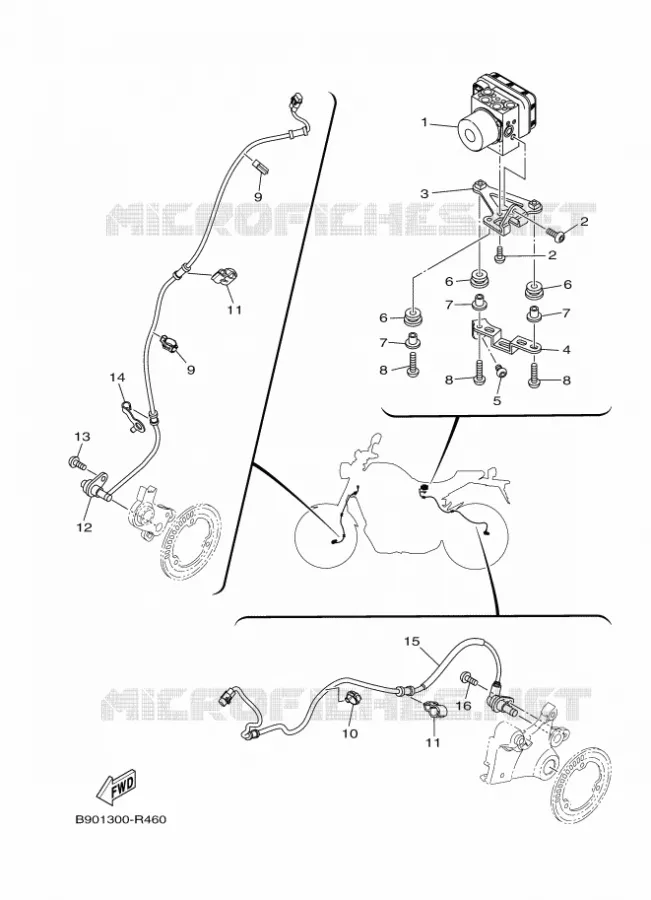 ELECTRICAL 3 Yamaha MOTO 850 2016 XSR  MTM850
