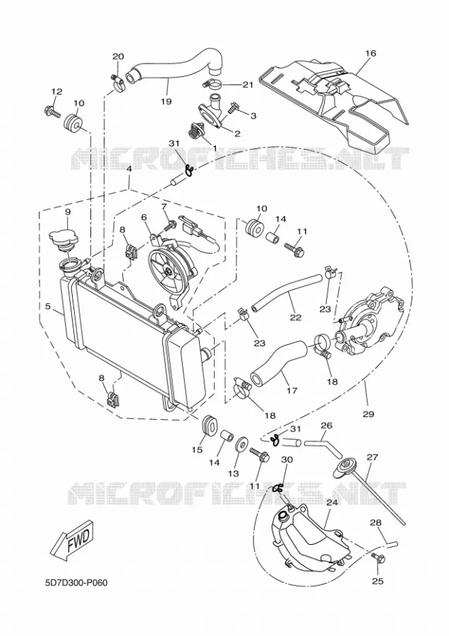 RADIATOR / HOSES Yamaha MOTO 125 2017 MT  MT125-A