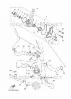 WATERPUMP / HOSES for Yamaha XSR 2016