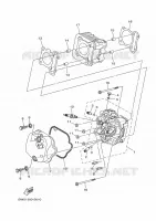 CYLINDER for Yamaha DELIGHT 2017
