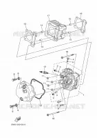 CYLINDER for Yamaha DELIGHT 2017