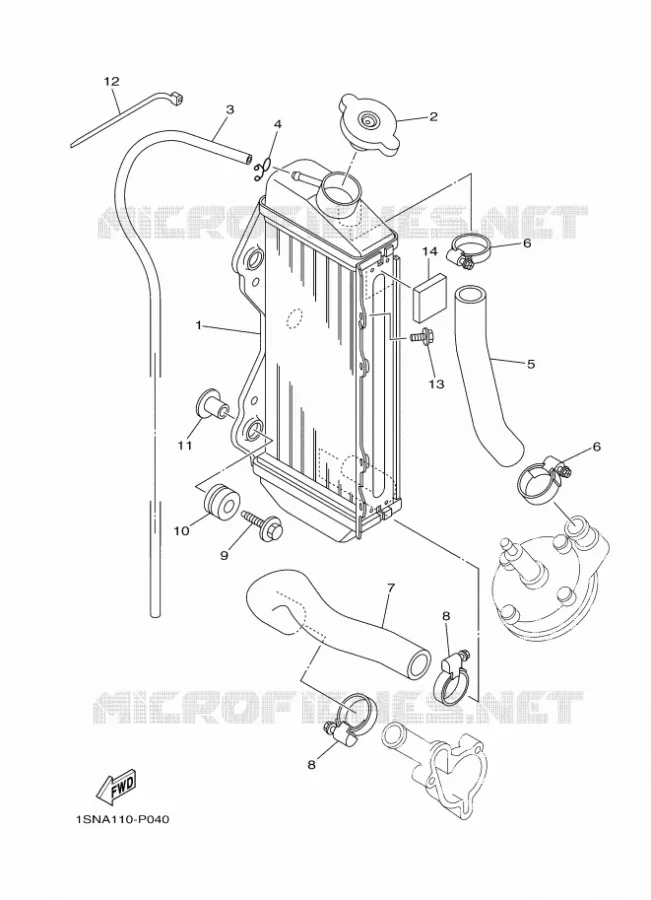 RADIATOR / HOSES Yamaha MOTO 85 2018 YZ  YZ85LW