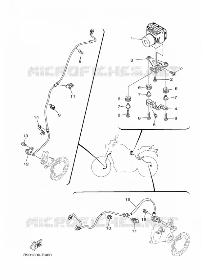 ELECTRICAL 3 Yamaha MOTO 900 2018 XSR  MTM850