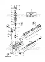 LOWER CASING & DRIVE 2 for Yamaha E55 2007