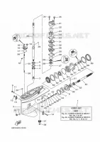 LOWER CASING & DRIVE 1 for Yamaha E60 2017