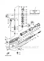 LOWER CASING & DRIVE 1 for Yamaha E60 2006