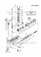 LOWER CASING & DRIVE 2 for Yamaha E60 2006
