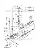 LOWER CASING & DRIVE 1 for Yamaha F40 2006
