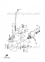 LOWER CASING & DRIVE 2 for Yamaha F40 2003