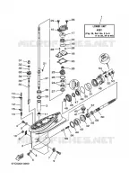 LOWER CASING & DRIVE 1 for Yamaha F40 2001