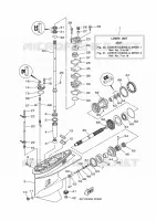 LOWER CASING & DRIVE 1 for Yamaha F40 2017