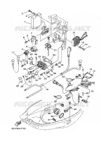 ELECTRICAL 2 for Yamaha F50 2009
