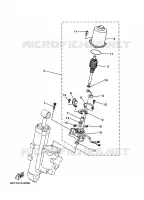 POWER TILT ASSEMBLY 2 for Yamaha F50 2009