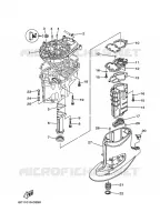 UPPER CASING for Yamaha F50 2006