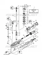LOWER CASING & DRIVE 1 for Yamaha F80 2003