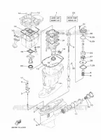 REPAIR KIT 2 for Yamaha FL115 2012