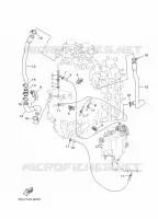 CYLINDER AND CRANKCASE 4 for Yamaha F225 2016