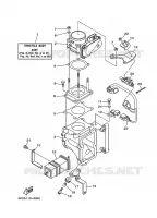 THROTTLE BODY for Yamaha F250 2009