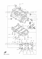 CRANKCASE for Yamaha SIDEWINDER 2019
