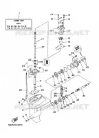 LOWER CASING & DRIVE 1 for Yamaha F9.9 2006